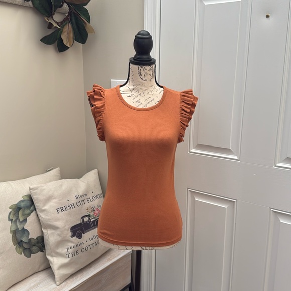 J. Crew Tops - EUC Bundle of 2 J. Crew Ruffle sleeveless top in brown and pink both in small!